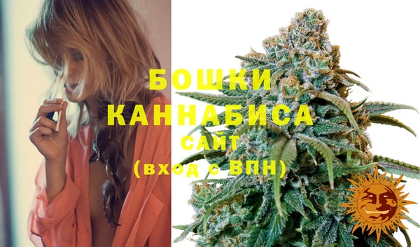 MESCALINE Аркадак