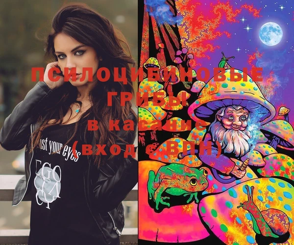 MESCALINE Аркадак